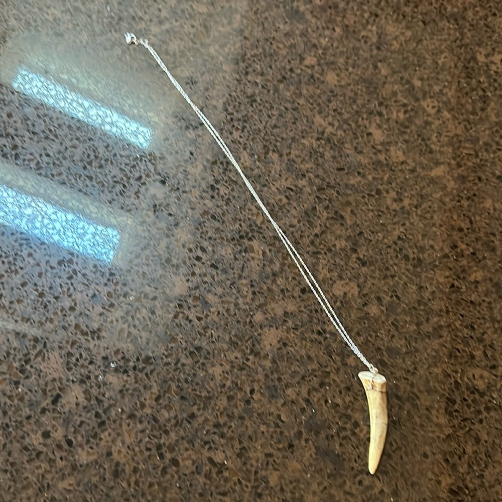 Necklace, antler tip on chain